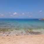 IMG_20220504_124329m