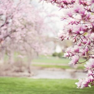 Warsztaty ZDROWE EMOCJE ​